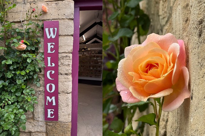 a warm welcome awaits you at serenarts gallery