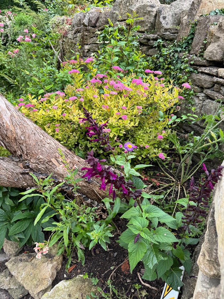 serenarts gallery at the tithebarn workshops garden