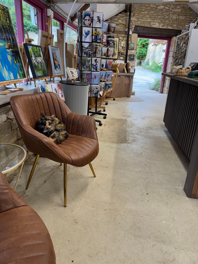 serenarts gallery unexpected visitor