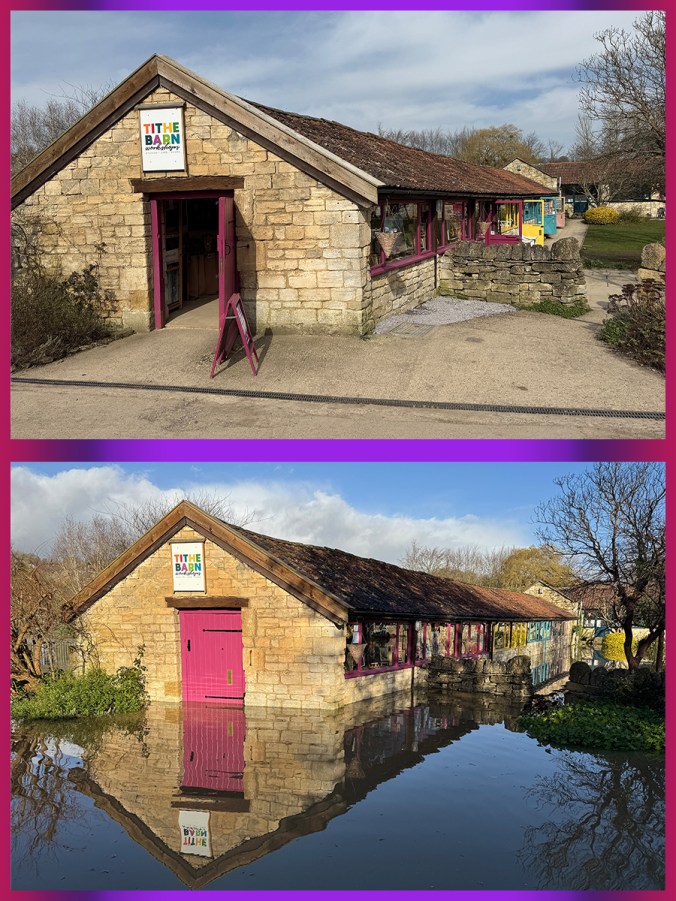 serenarts gallery in bradford on avon