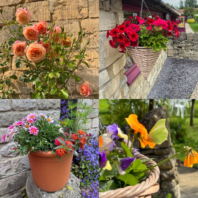 serenarts gallery in bradford on avon