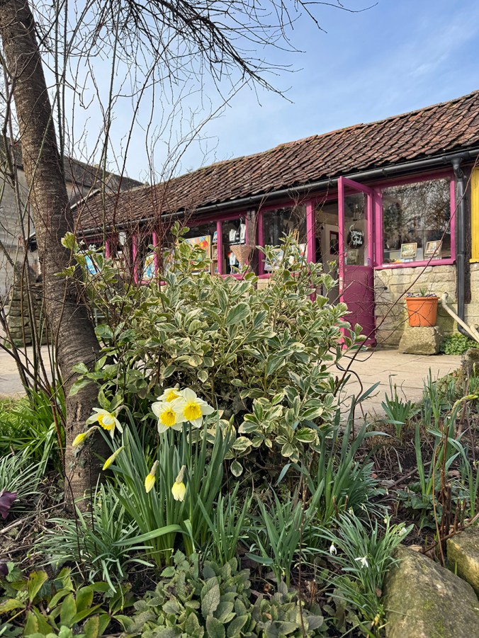 serenarts gallery in bradford on avon